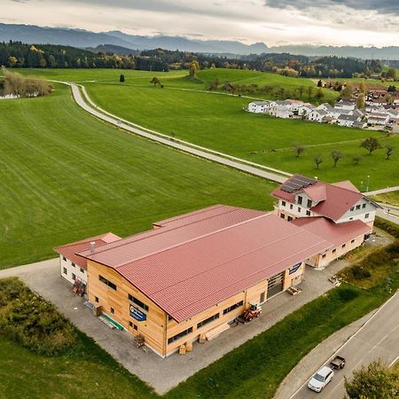 Wangen im Allgäu Bodensee Apartment Allgaeu Alpenblick מראה חיצוני תמונה